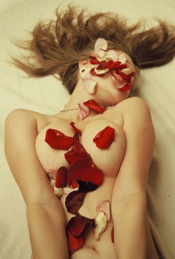 thepureskin:  tigerandpilgrim:  Petal Party 9.  fantastic!!!