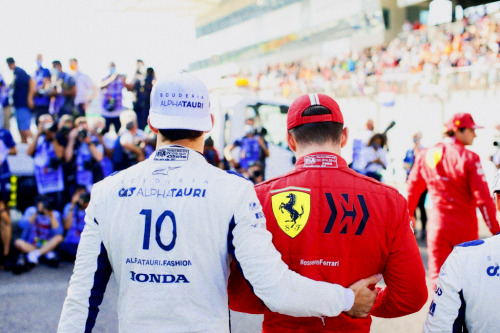 callumsmick: Charles Leclerc and Pierre Gasly during the F1 Grand Prix of Abu Dhabi at Yas Marina Ci