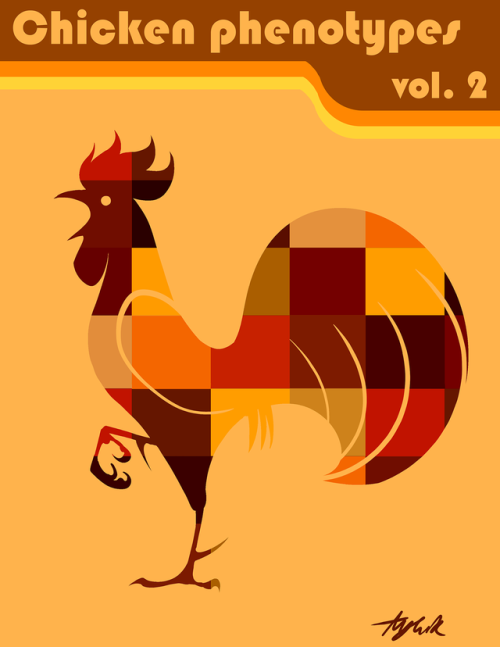 pazdispenser:revised my chicken post, still very basic but its an intro to appearance