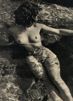 vintageadultz:  Beautiful art nude 