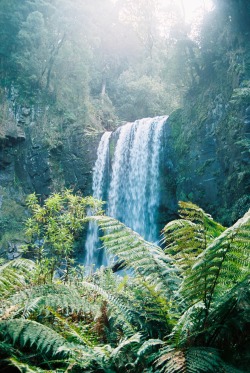 huskiphotography:  The Falls  | Victoria, Australia Portra 160 | Minolta Alpha Sweet II  - huski  