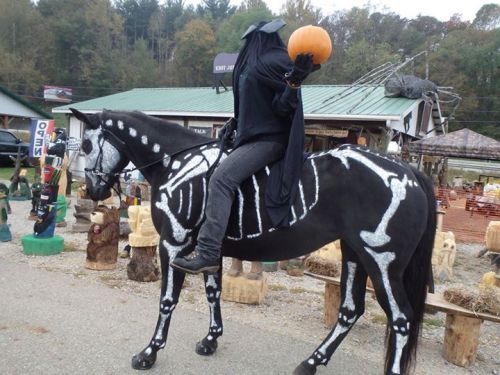 rainyapparitions:go homethis wins Halloween