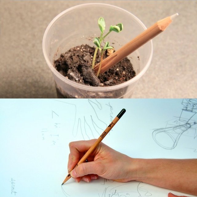 the-august:  Water-Activated Sprout Pencil “What if instead of throwing your pencil