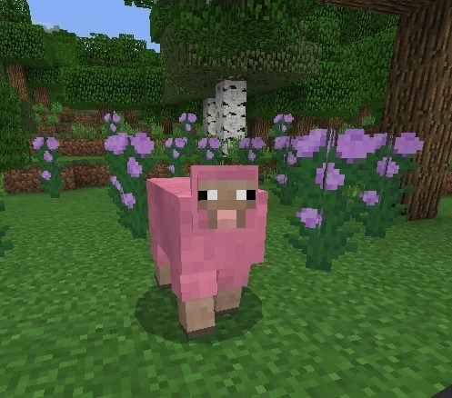 MoreMinecraft — The odds of a Pink Sheep naturally spawning & my...