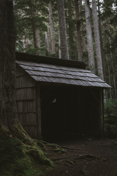 Tunnel Creek shelter