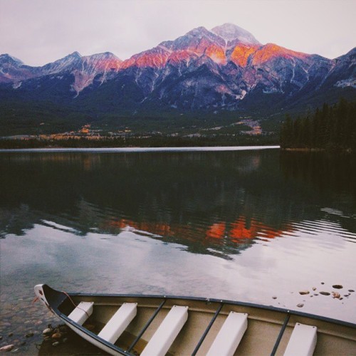 campbrandgoods:  Days like these #campbrandgoods #keepitwild  Photo by: @heyvian