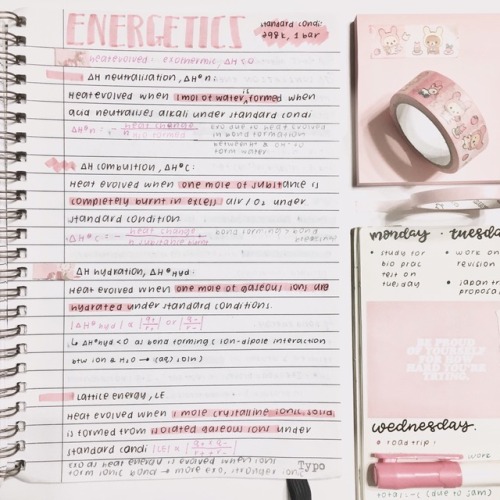 b0nie-studies:feelin’ so energetic ~ listening to: pet - 10cm color coded notes are so lit  