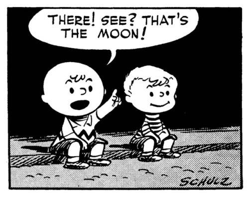 gameraboy:Peanuts, June 23, 1952