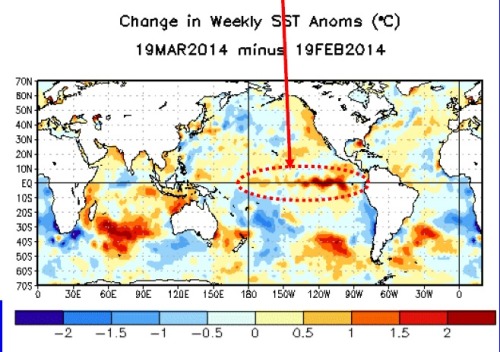 Potentially strong El Niño chances growing On March 6th, the National Oceanographic and Atmos