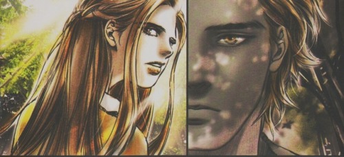 I honestly love Twilight - The Graphic Novel. The art is simply...