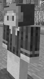 Collection Of Lost Grian Skins Pt. 2.
