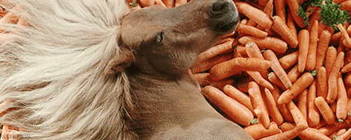 my-wanton-self:  Everyone told Milo that there could be Too Much of A Good Thing.Milo