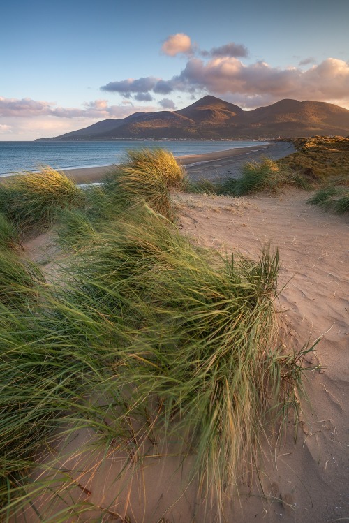 Murlough Beach, Newcastle, Co. Down, Northern Ireland.Photographer: Ryan Simpson