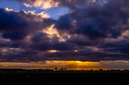  Texas Coastal Plain - Texas - USA (by Corey Leopold) 