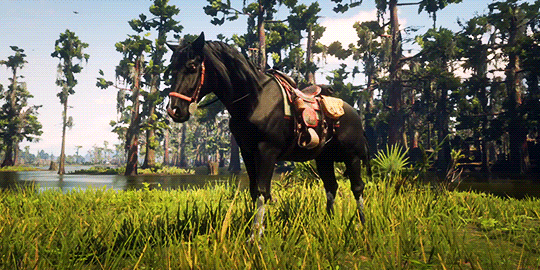 callmebonnie:★✪ My horses in Red Dead Online ✪★