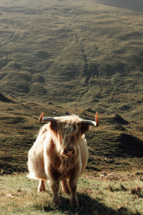 Isle of Skye