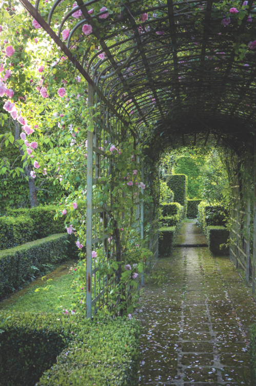 madabout-garden-design: Garden design by Federico Forquet, in his country retreat near Cetona, Tusca
