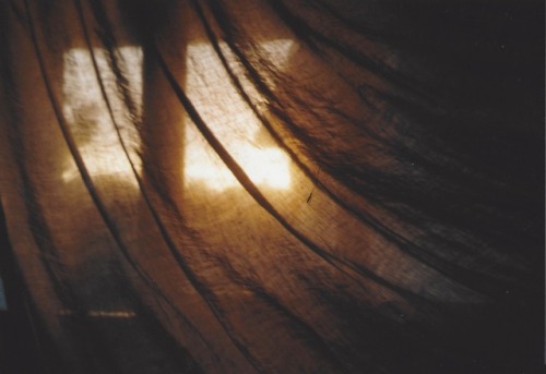 terefah:sunset through my curtains 35mm