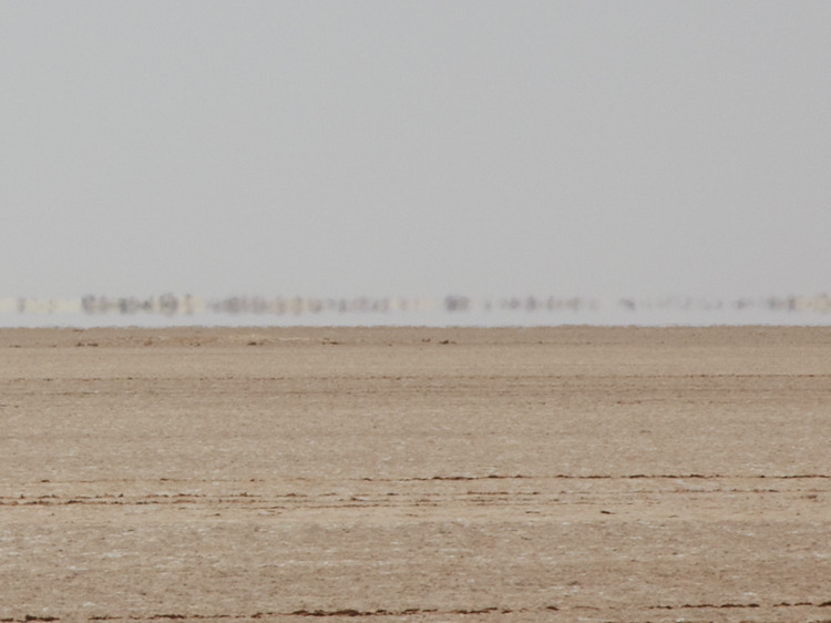 likeafieldmouse:  Brendan Austin - Mirage (2012)