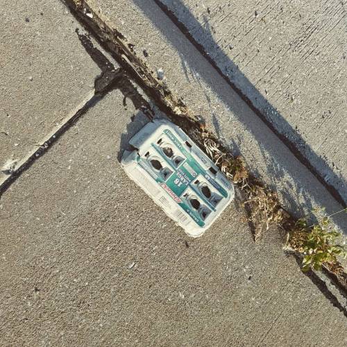 Just The Lid From An 18 Pack Of Eggs. Mystifying. #stuffinthestreet #photo #lid (at Mehlville, Missouri)