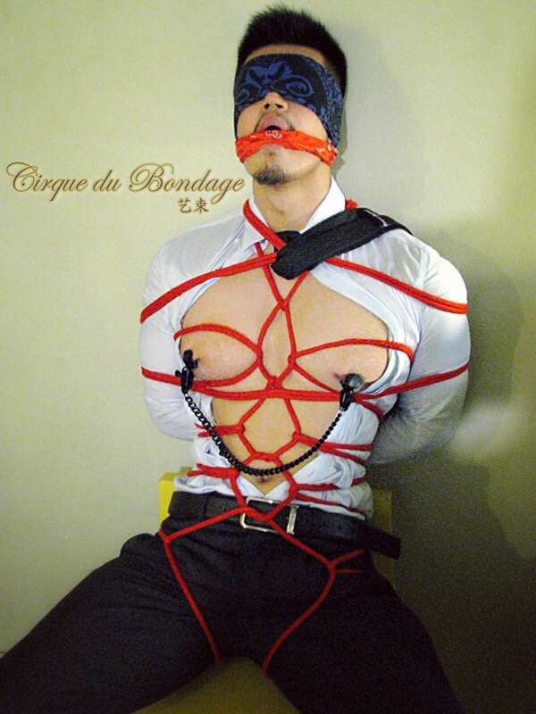dogslavetiedgagged