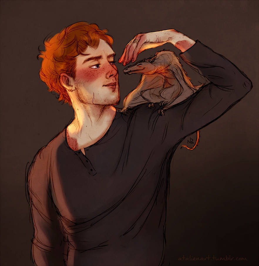 Charlie weasley x reader