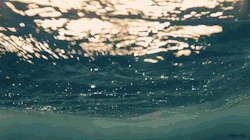 okiepokey:  Submerged.