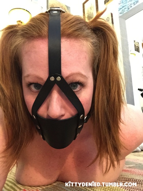 kittydenied:This one has a good sized ball gag on the inside, and fills my mouth nicely. Looking forward to having the D-Ring at the top being used as an anchor-point for an ass hook that hasn’t been used yet ;)The smell of leather in combination