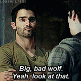 lonewolfed:  so if you take stiles and derek and leave the actual dialogue from the