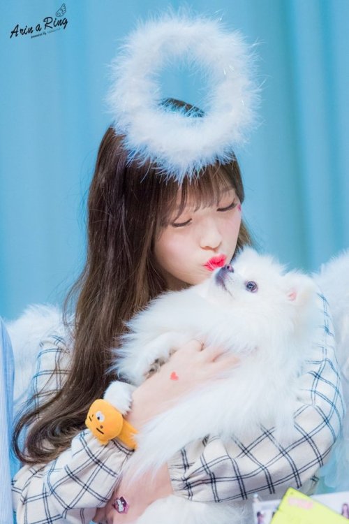  Arin (Oh My Girl) - Busan Fansign Event Pics 