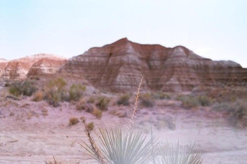 shakasandsinglefins:  This summer I was feeling burned out from working long hours and itching to get lost in the desert.  I spent 4 days on a solo trip in 118 degree heat, driving around the southwest with my @leica_camera film camera and burning thru