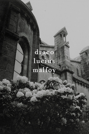pukwdgie: “I’m Draco Malfoy, I’m Draco, I’m on your side!“ more here
