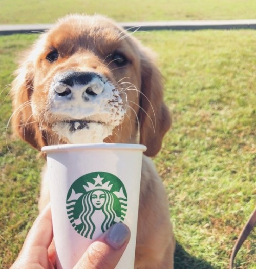babydogdoo:  Her favorite drink