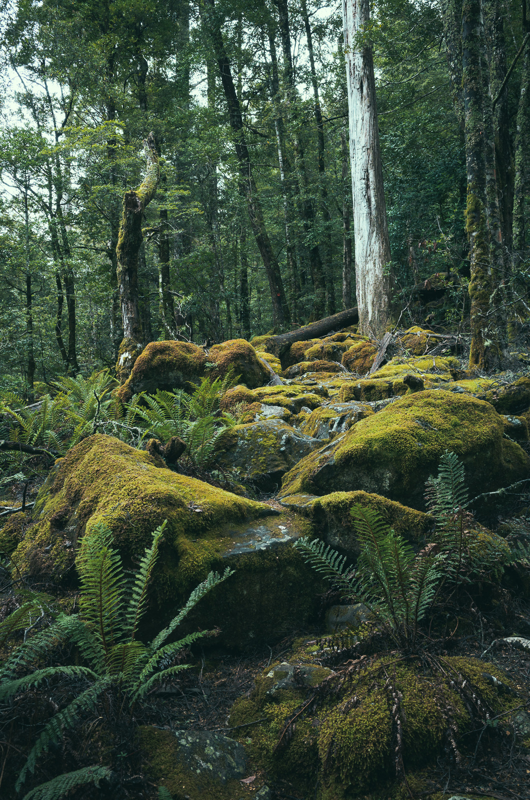 mirroredphotography: Walk to Chasm Falls.