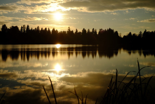 autumn - lost lagoon, stanley parkvancouver, bc