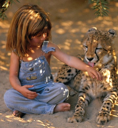 itaylorrae:cashmere-cascade:ashleymater:Tippi Benjamine Okanti Degré, daughter of French wildlife ph