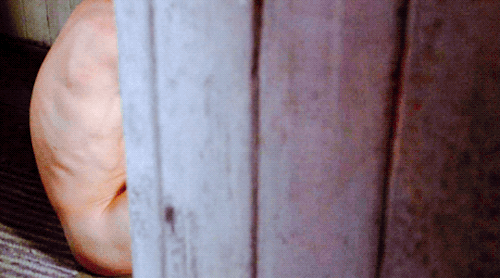 ENDLESS LOVE (1981)COCAINE: ONE MAN'S SEDUCTION (1983)THE FAMILY TREE (1983)A KILLER IN THE FAMILY (1983)THE
