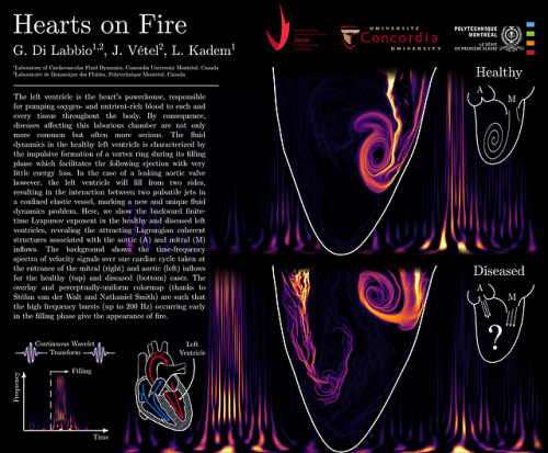 You may not give it much thought, but there is important fluid dynamics happening inside you every moment of every day, especially inside your heart. Of the four chambers of the heart, the left ventricle has the thickest walls, reflecting its...