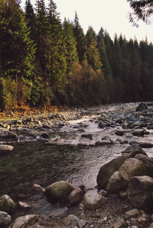 setbabiesonfire:Cascade Falls regional park, Mission, British Columbia.