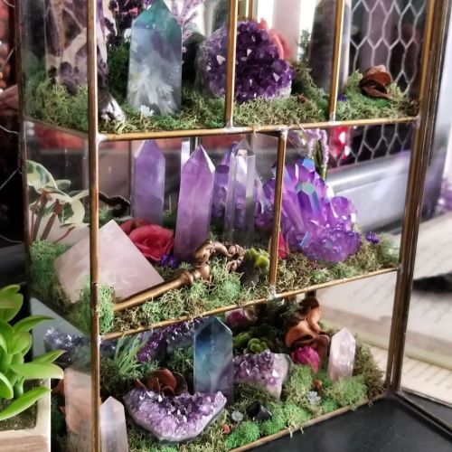 Here&rsquo;s a crystal garden I made in 2018. Where are you now, my beauty? More gardens on the 