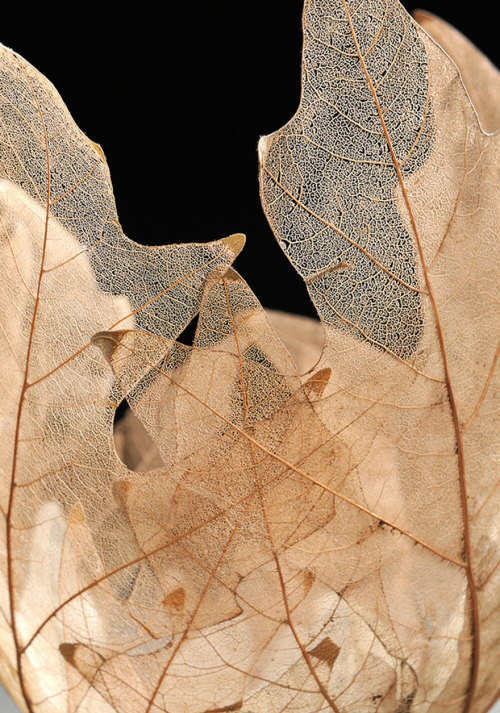 littlelimpstiff14u2: Beautiful Leaf Bowls Made From Real Leaf Skeletons by Kay Sekimachi Ethereal bo