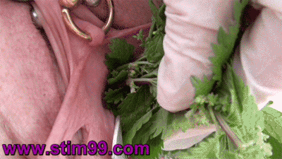filled-with-the-unusual:  marypierced:  Nettle Torture Fucking peehole with stinging