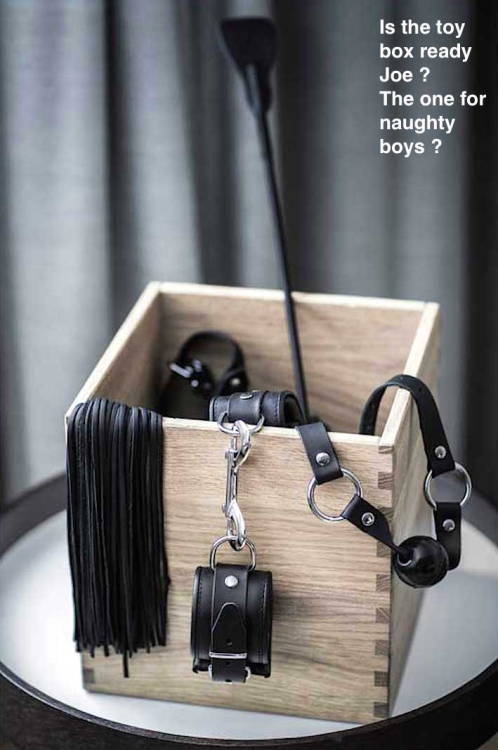 not-to-be-tamed:  captioned-femdom-situations:  toy box  I’d say it’s not for naughty ones, only for good boys   nice toys