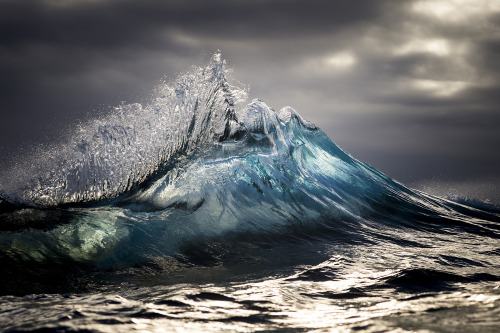 nubbsgalore:  photos by ray collins (instagram)