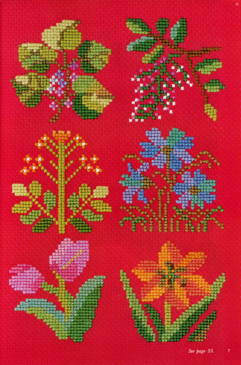 Porn thegroovyarchives:Floral Cross Stitch DesignsFrom photos