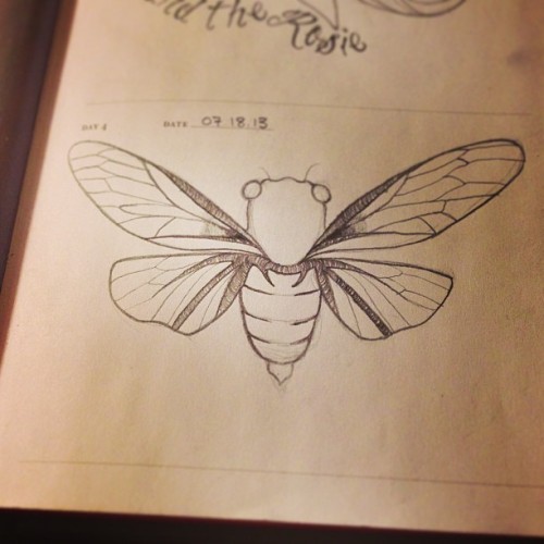 #onesketchaday #sketch #cicada #illustration #labelleink