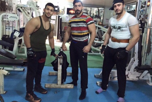 arabfitnessgods: Handsome Iraqi Muscle gods. Ahmad, Fadi and Mohammed.  I’m betting every doll