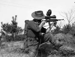 militaryarmament:  An Australian soldier takes aim with his M3 Carbine during the Korean war. 