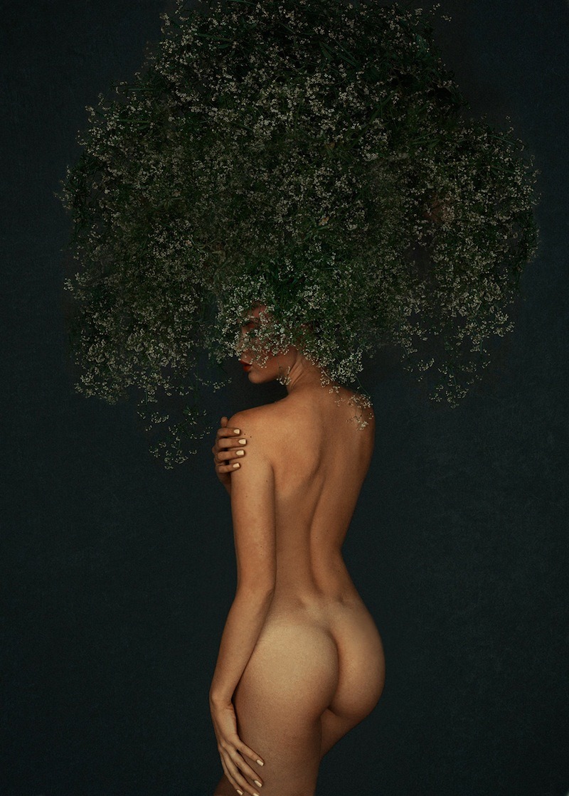 imickeyd: Tree © Nadezhda Vlasova