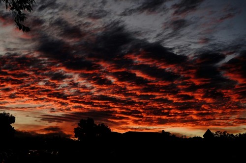 manbeardcamera: The end of the day…. Cloudy skies make for great cold weather sunsets.